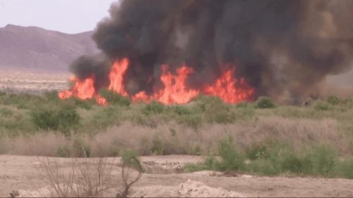 Wetlands Park fire reaches 100% containment, future prevention strategy underway
