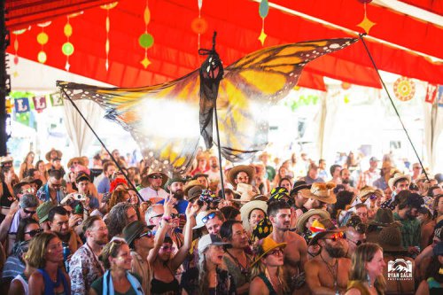 'Roll the dice': Beloved California music festival takes last shot at survival