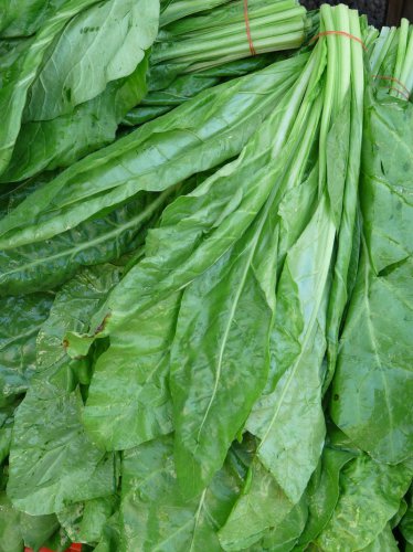 Top 6+ Everyday Vegetables That Lose Their Nutrients Fast (Though Most People Buy in Bulk)