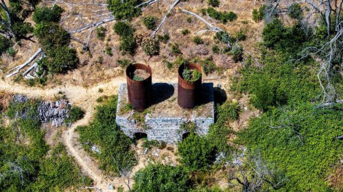 Under California dense forest lurks hidden history. Fire helped reveal it