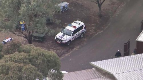 Woman 'grabbed' by big cat at Queensland zoo