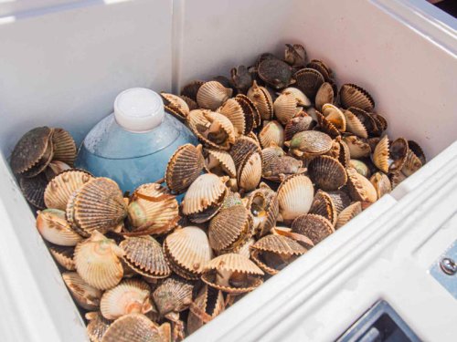 This Sleepy Florida Fishing Town Has Zero Stoplights And A Front-Row Seat To Scallop Season