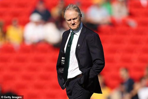 Australia boss Joe Schmidt admits Wallabies don't have 'real confidence' ahead of Lions series