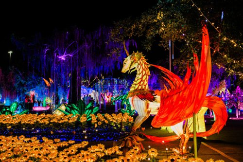 Outdoor light festival coming to San Diego