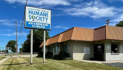 &lsquo;Not able to keep up&rsquo;: Capital Area Humane Society looking to expand clinic