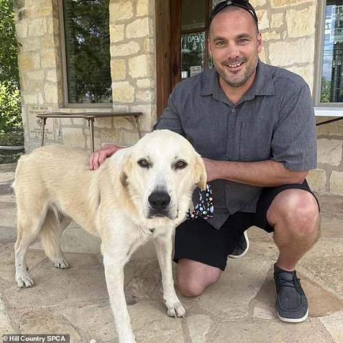 Pets rescued from Texas flood waters remain unclaimed as owners' fate is unknown
