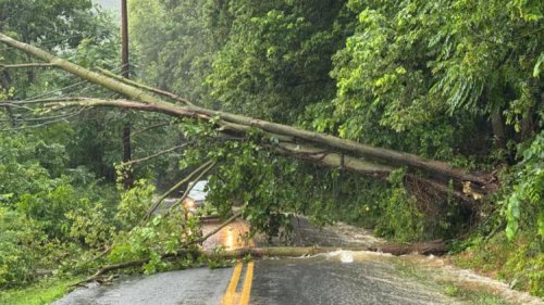 Follow Live: Flooding, trapped vehicles, downed trees reported as severe weather hits Central PA