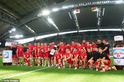 Welsh Rugby Union confirms plan for 'radical strategy' and likely team cut