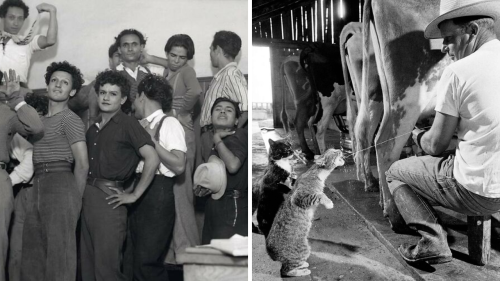 Top 30+ Black &amp; White Photos of a World Long Gone