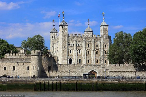 Black Death victims 'discovered' in Tower of London excavation