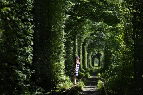 These abandoned places have been reclaimed by nature