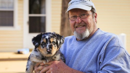 Top 10+ Reasons Why Having A Pet Is Healthy For You &amp; 10 It Might Not Be