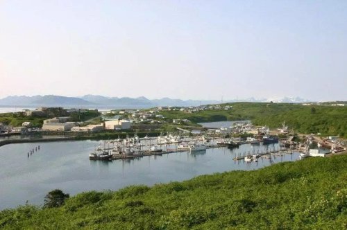 tsunami warning after massive Alaska earthquake
