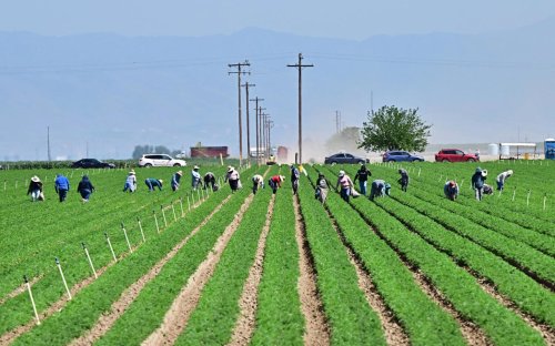 In Twist, Some Republicans Push to Protect Unauthorized Immigrants