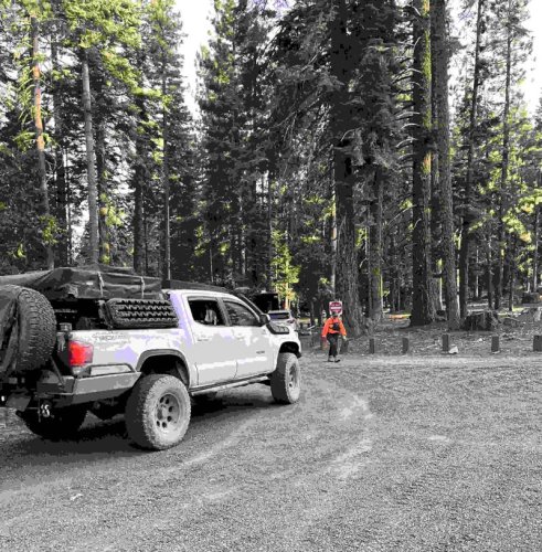 Handwritten notes help lead search crews to mom and son stranded in remote forest