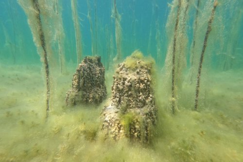 Archaeologists find evidence of Europe&rsquo;s oldest lake settlement