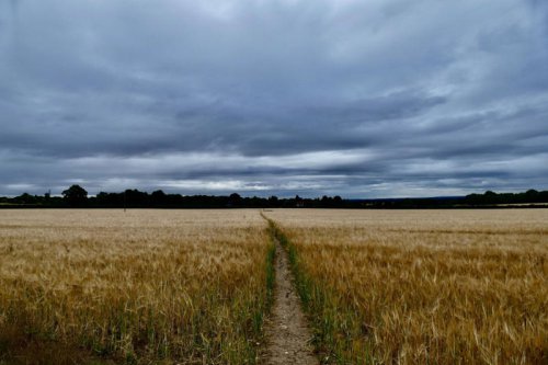 Thunderstorm warnings issued with danger to life fears