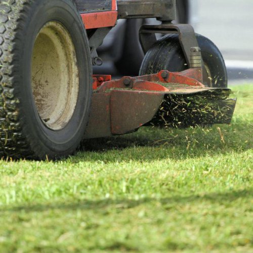 Top 19+ Yard Tool Hacks That&rsquo;ll Make Your Life Easier