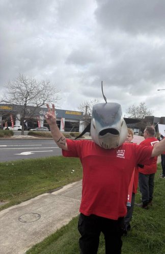 Things get fishy at Tassie election