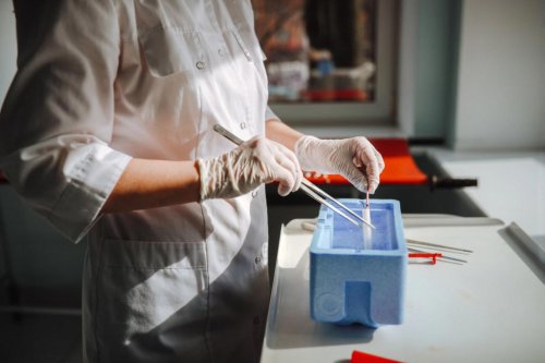 What are &lsquo;three-parent babies&rsquo; and how exactly does the IVF treatment work?