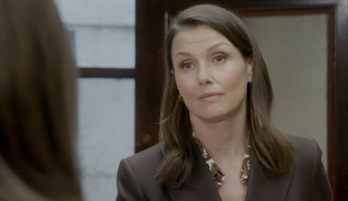 A 'Blue Bloods' Star Is Joining Donnie Wahlberg for His New Spin-Off