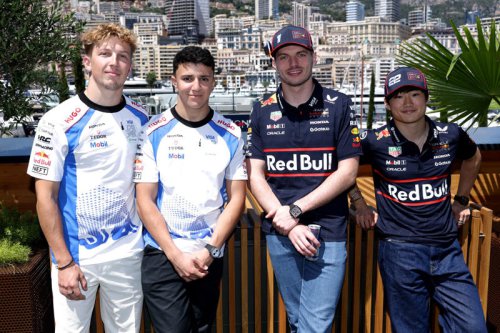 Red Bull to sack F1 driver after Christian Horner exit