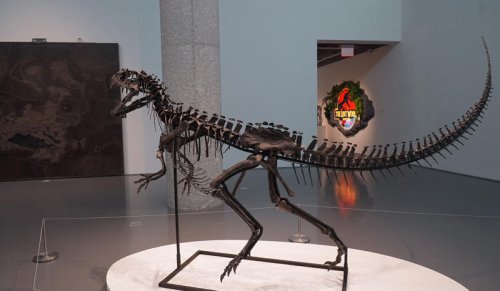 How did dinosaurs grow so big?