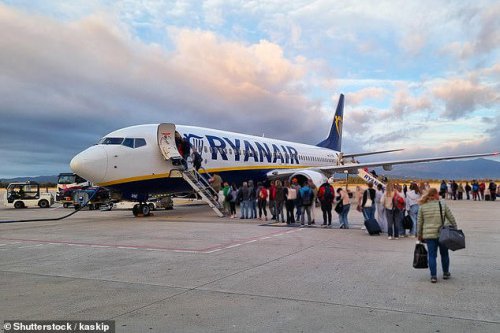 Now Ryanair pay staff bonuses to catch out passengers with oversized cabin bags