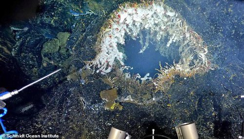 Warning as underwater volcano off US West Coast is rocked by 300 earthquakes