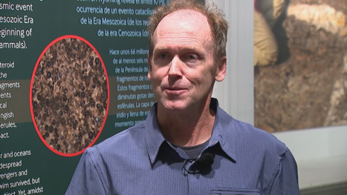 Denver Museum of Nature &amp; Science showing off dinosaur fossil found in parking lot; oldest in city's history