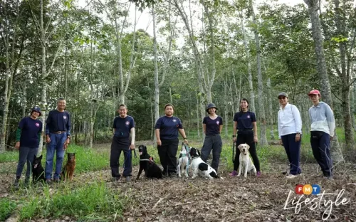 The courageous canines of Search and Rescue Dogs Malaysia