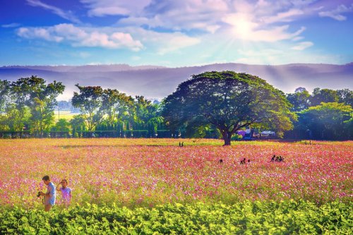 ททท.เร่งเครื่อง &lsquo;Green Season&rsquo; ปลุกท่องเที่ยวไทยคึกทั่วประเทศ