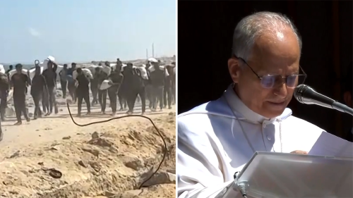 Albanese condemns Israel's denial of aid in Gaza as indefensible