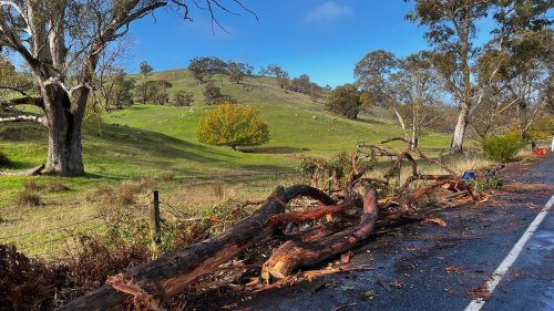 Wild winds batter southern Australia