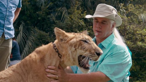 Latest &lsquo;Tiger King&rsquo; twist as star faces 10 years in prison