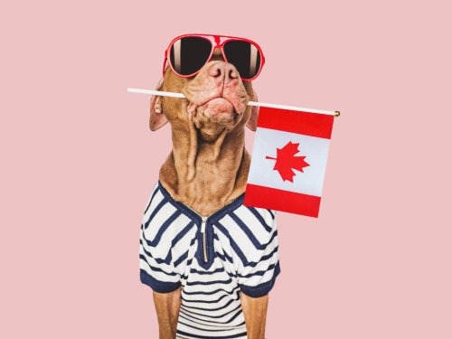 Top 14+ Canadian words and phrases the US just doesn&rsquo;t understand, eh