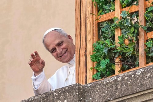 Pope Leo interrupts holiday to issue warning: &lsquo;We live in a world that is burning&rsquo;
