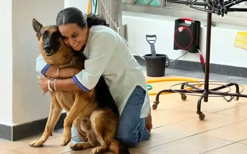 Life with sweet Champ, the jealous German Shepherd