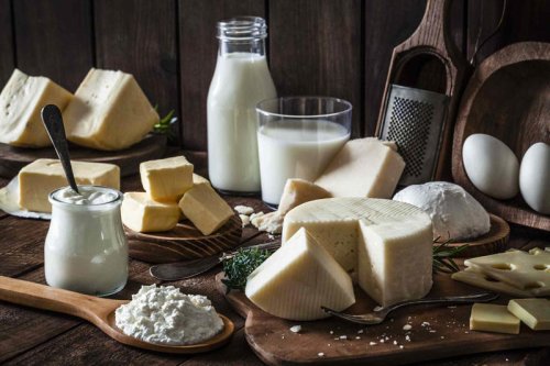 Top 7+ Dairy Products With More Probiotics Than a Cup of Yogurt