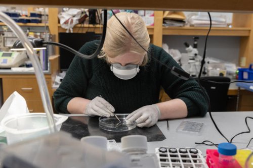 What long covid can teach us about future pandemics