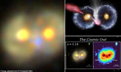James Webb telescope spots rare 'Cosmic Owl' structure
