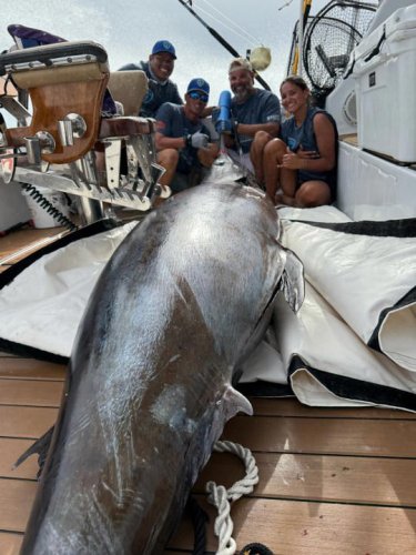 &lsquo;We knew it was something special&rsquo;: LSU grad catches over 600-lb. fish in the Gulf