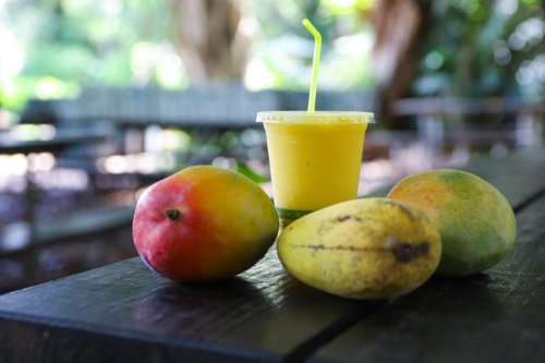 A Guide to Mango Season: How a Fruit Became the Symbol of Miami Summers
