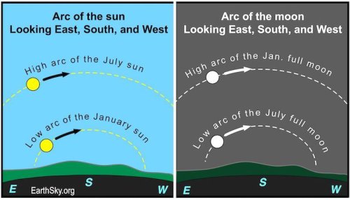 Look up! Buck Moon rising Thursday night, Perseids meteor showers to peak in August