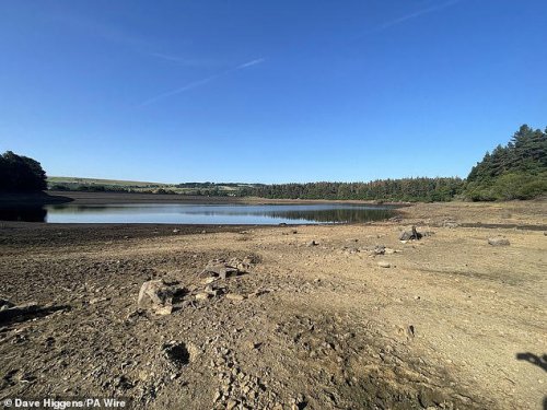 Heatwave peaks at 35C as 6million homes are hit by hosepipe bans amid wildfire and drowning warnings