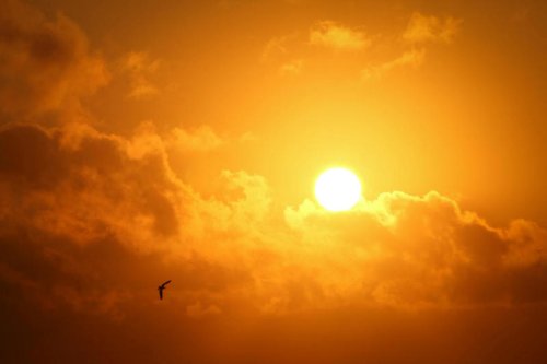 The Solar System&rsquo;s True Giant: How the Sun Became a Mass Monster