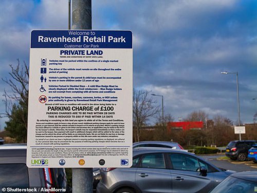 Government accused of 'bending the knee' to rogue private parking firms