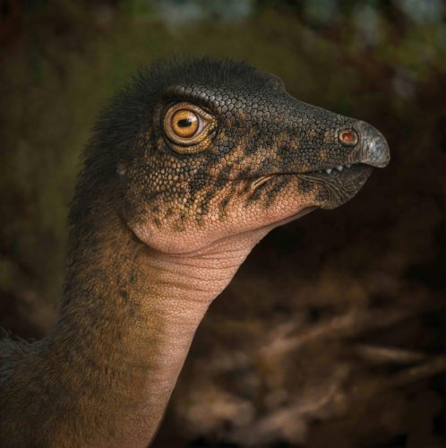 Denver museum discovers nearly 70-million-year-old fossil under parking lot