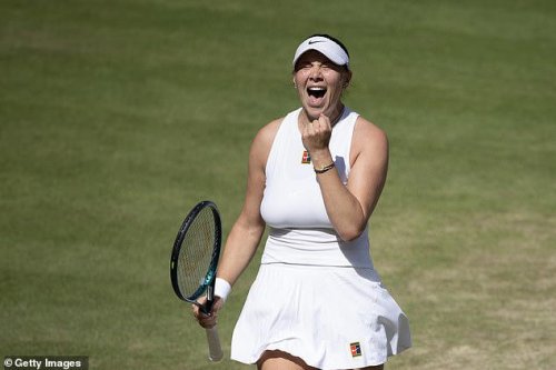 Former teenage prodigy Amanda Anisimova's comeback story reaches its final chapter at Wimbledon