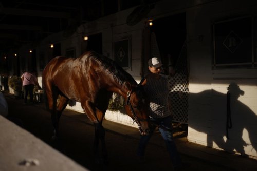Horse racing depends on immigrants who are suddenly working in fear